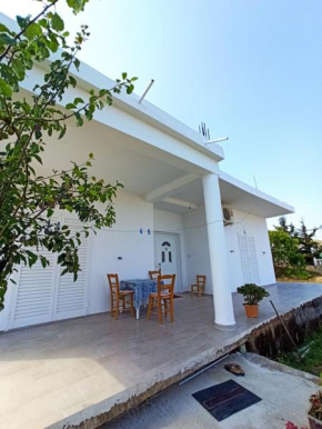 Summer House Drizaj
